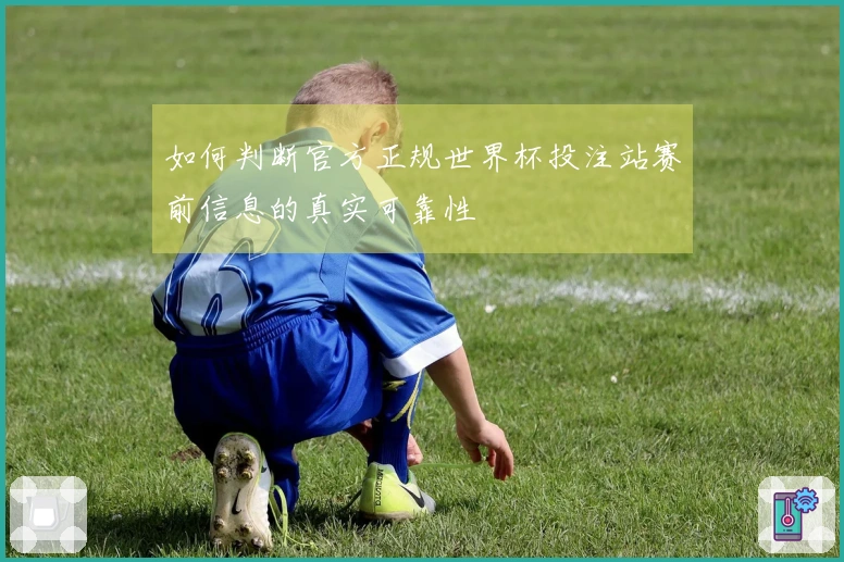 如何判断官方正规世界杯投注站赛前信息的真实可靠性