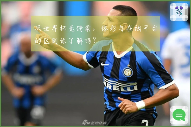 买世界杯竞猜前，体彩与在线平台的区别你了解吗？