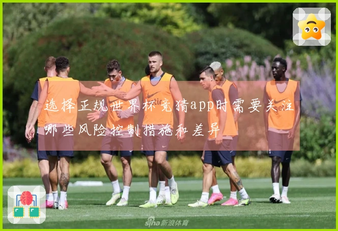 选择正规世界杯竞猜app时需要关注哪些风险控制措施和差异