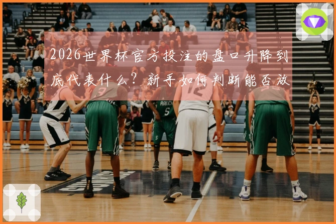 2026世界杯官方投注的盘口升降到底代表什么？新手如何判断能否放心下注