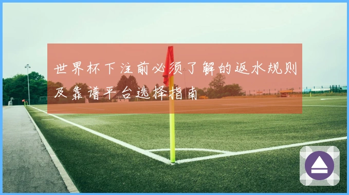 世界杯下注前必须了解的返水规则及靠谱平台选择指南