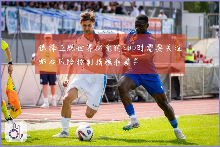 选择正规世界杯竞猜app时需要关注哪些风险控制措施和差异